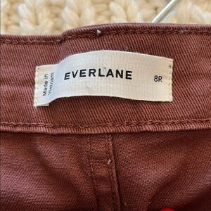 Everlane Utility Barrel pants in Rosewood